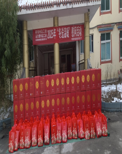 项目展示